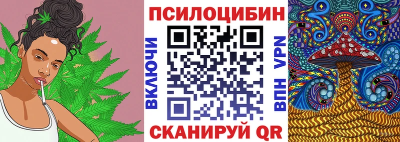 что такое   Сланцы  Псилоцибиновые грибы Magic Shrooms 