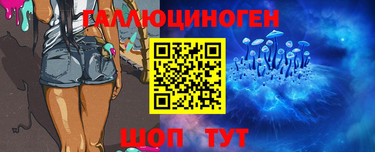 Сланцы  Галлюциногенные грибы Psilocybe  Вход с VPN  Галлюциногенные грибы прущие грибы 