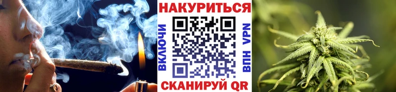 Бошки Шишки конопля  Сланцы 